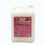 Lave main glycrine 5L