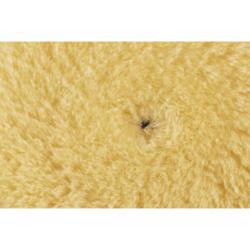 Mousse de polissage en laine Jaune Medium Diam 150/170mm RUPES