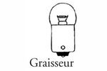 Lot de 10 ampoules graisseur 12 Volts 5 Watts