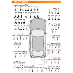 OFFRE SPECIALE !!! Ampoule OSRAM Stop culot W3x16q - W21/5W, 12V 21/5W pour voiture