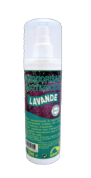 Dsodorisant Bactricide Lavande 250 ml